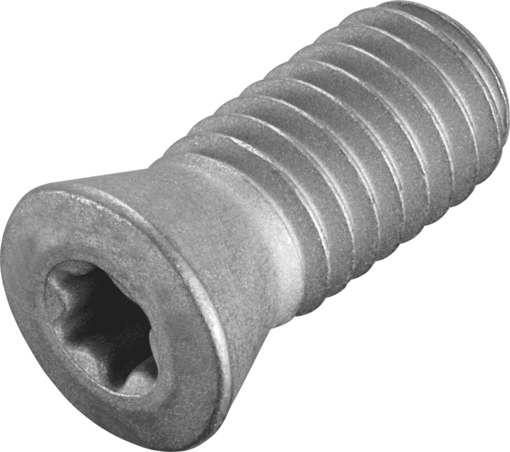 FS1010