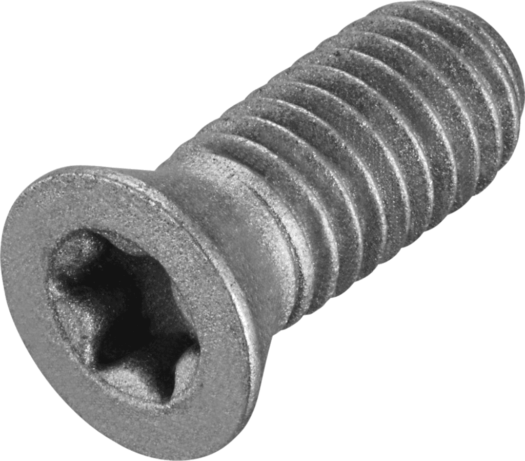 FS1013