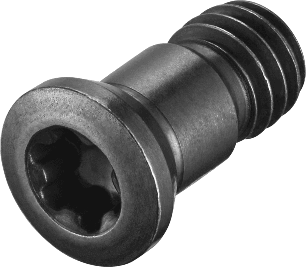 FS2070