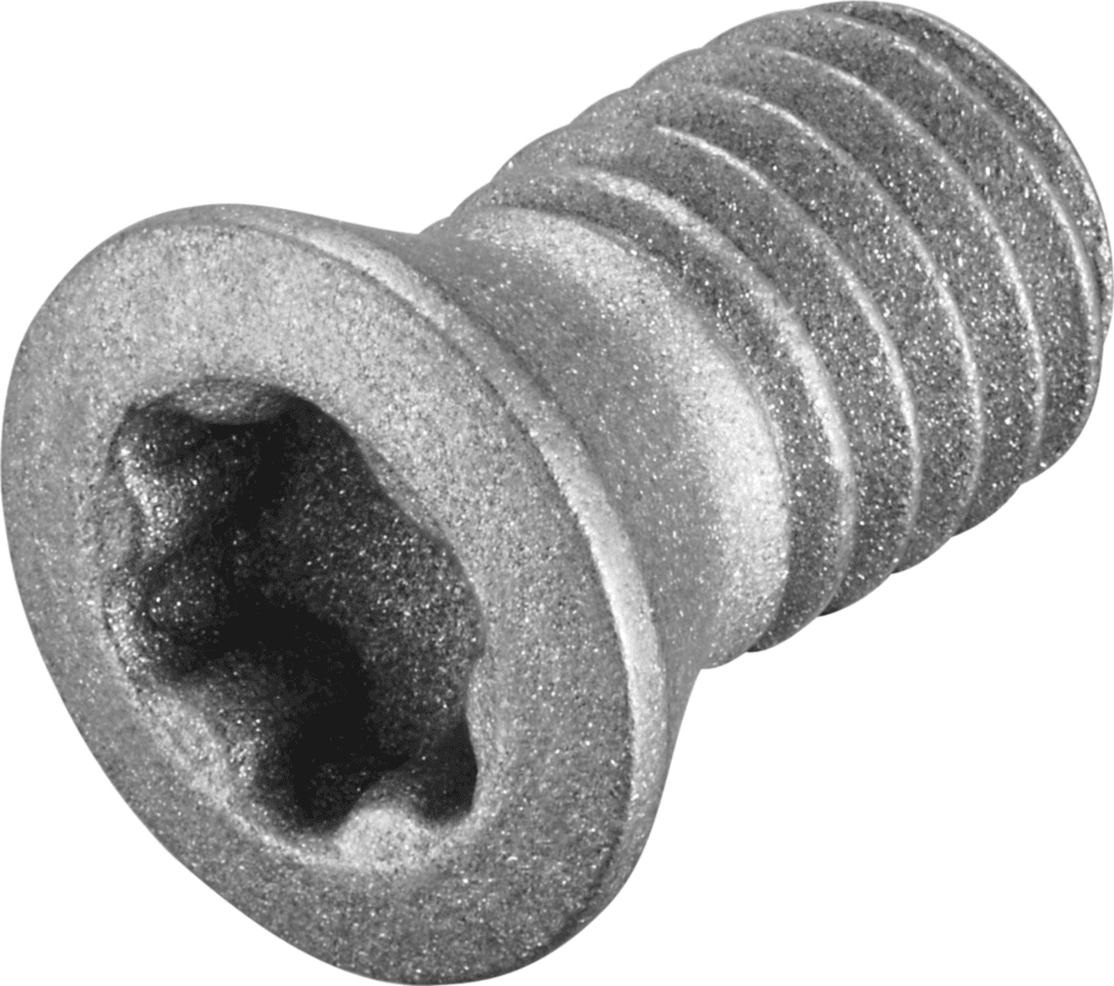 FS2077
