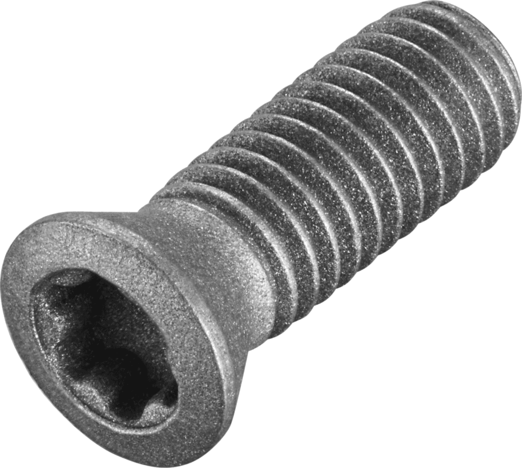 FS2079