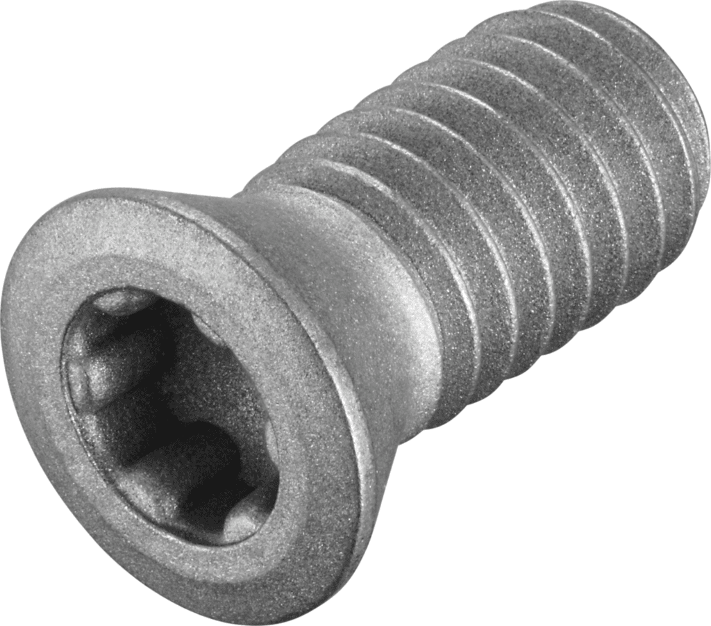 FS2080