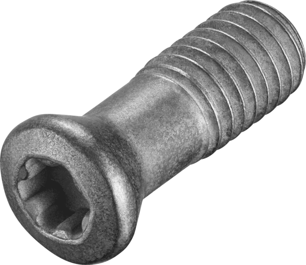 FS2089
