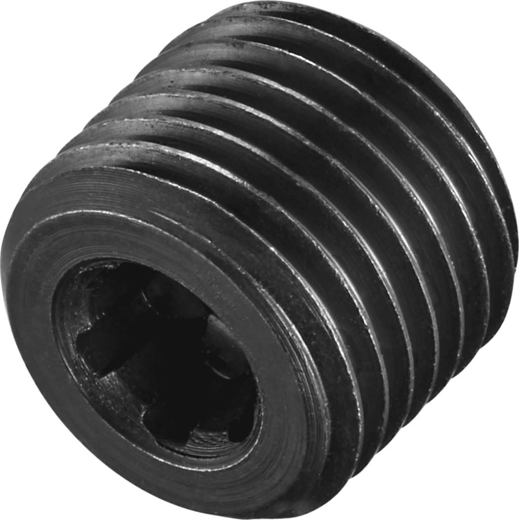 FS2113
