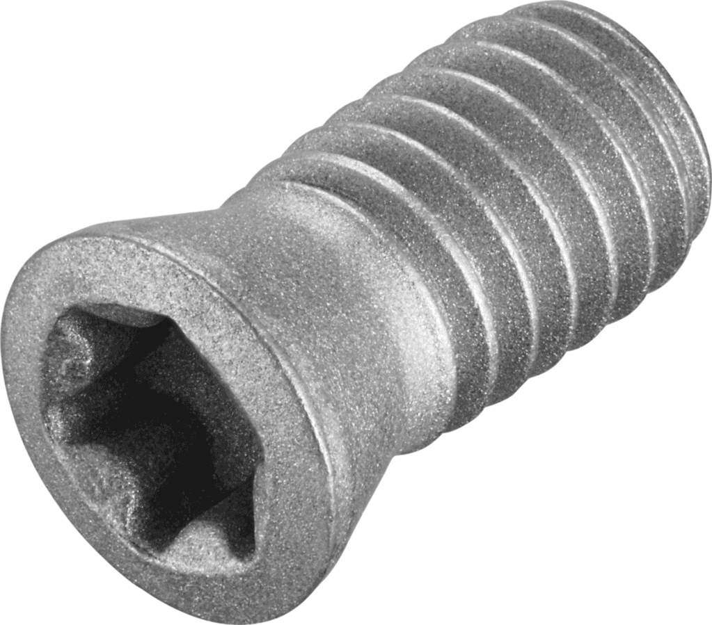 FS319