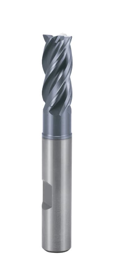 GMF62909