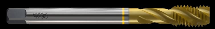 TTS31246