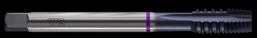 TZ293366