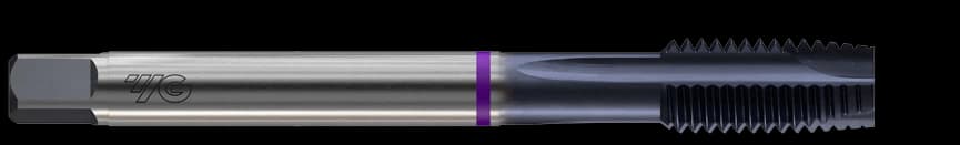 TZ923346