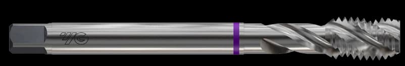 TR833206